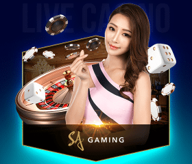 Thomo67 – Đá Gà Thomo