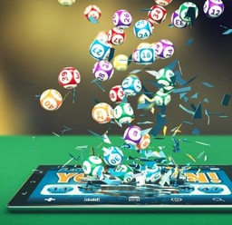 Thomo67 – Đá Gà Thomo