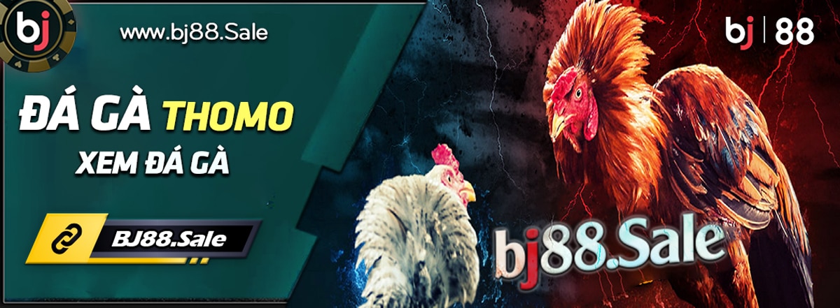 Xem-Đá-Gà-Thomo---Websute-thomo67.bet