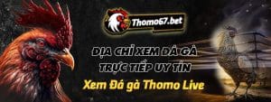 thomo67