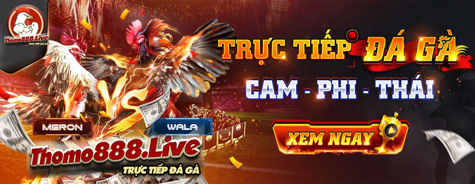 THOMO888 Đá Gà Thomo 888