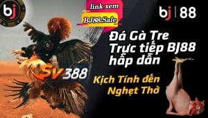 da ga tre truc tiep BJ88