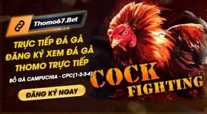 thomo67-bet-dagathomo