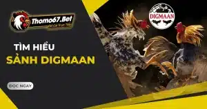 Thỏa sức đam mê, rinh quà khủng cùng game bài tại casino THOMO67