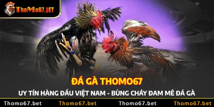 bung chay dam me da ga