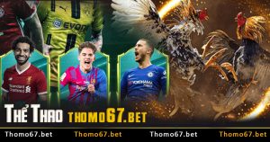 thomo67 the thao