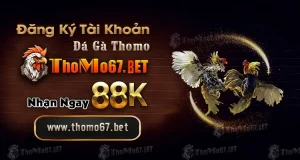 KHUYEN MAI DA GA NHAN 88K THOMO67.BET