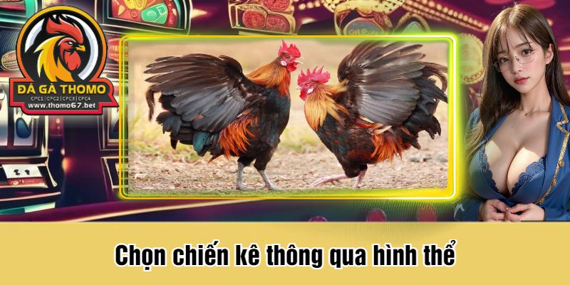 Chọn chiến kê dựa vào ánh mắt