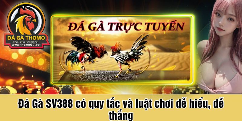 Đá Gà SV388 có quy tắc và luật chơi dễ hiểu, dễ thắng
