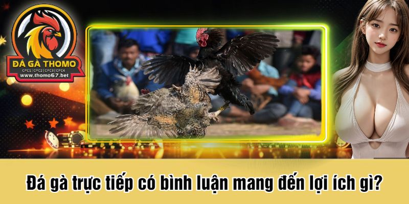 Đá gà trực tiếp có bình luận mang đến lợi ích gì?