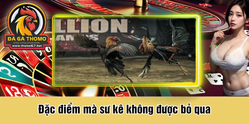 Đặc điểm mà sư kê không được bỏ qua