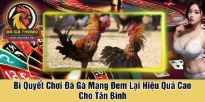 Hình thức đá gà trực tiếp Philippines hấp dẫn tại Thomo67