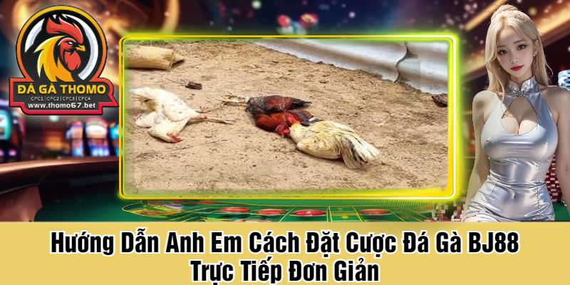 Hướng Dẫn Anh Em Cách Đặt Cược Đá Gà BJ88 Trực Tiếp Đơn Giản