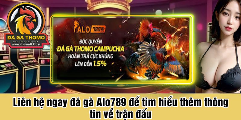 Liên hệ ngay đá gà Alo789 để tìm hiểu thêm thông tin về trận đấu