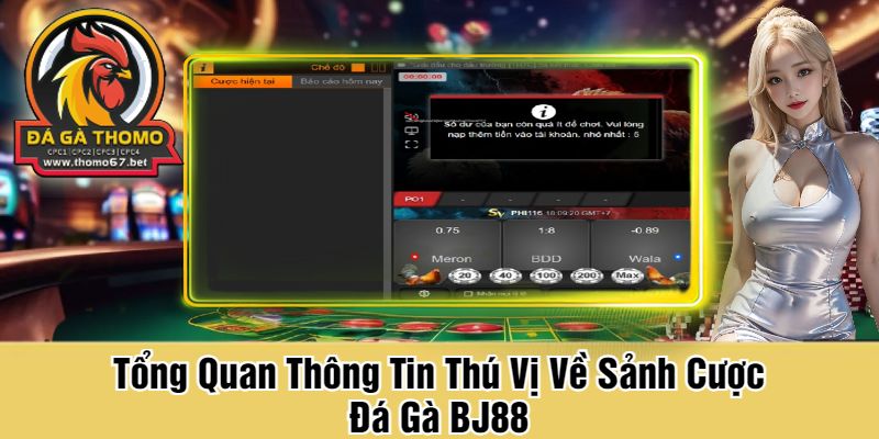 Tổng Quan Thông Tin Thú Vị Về Sảnh Cược Đá Gà BJ88
