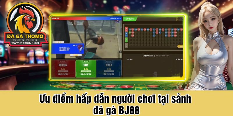 Ưu điểm hấp dẫn người chơi tại sảnh đá gà BJ88