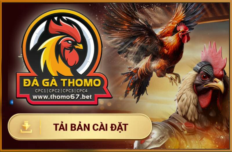 Đá gà trực tiếp - thomo67