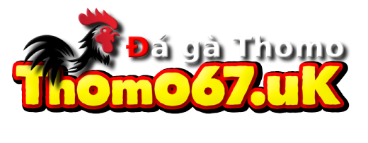 Thomo67 – Đá Gà Thomo